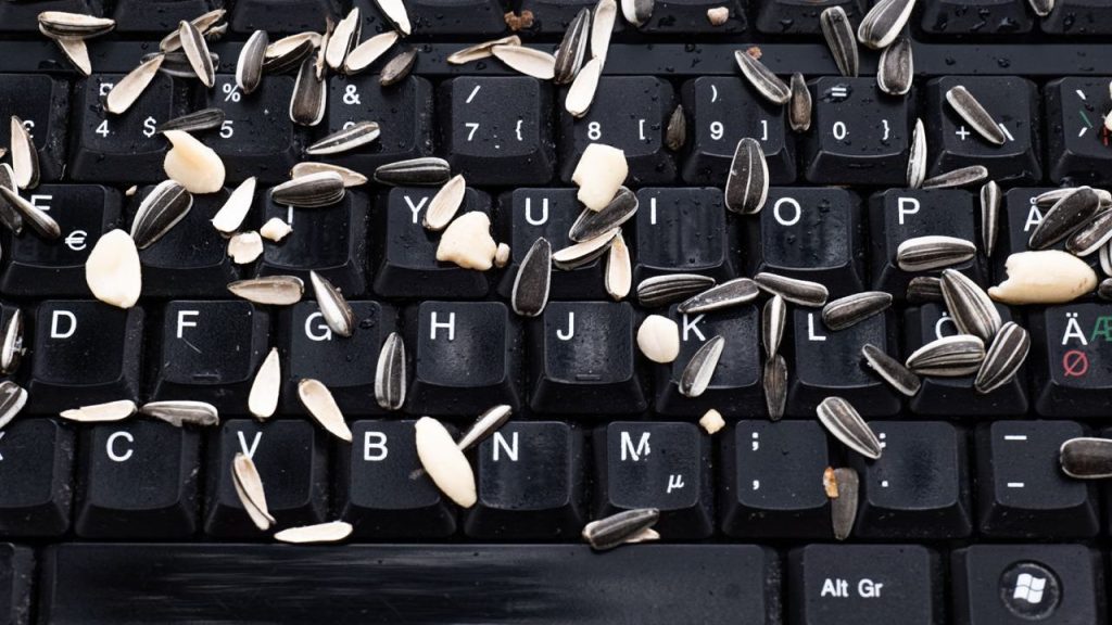 Keyboard with seeds on it